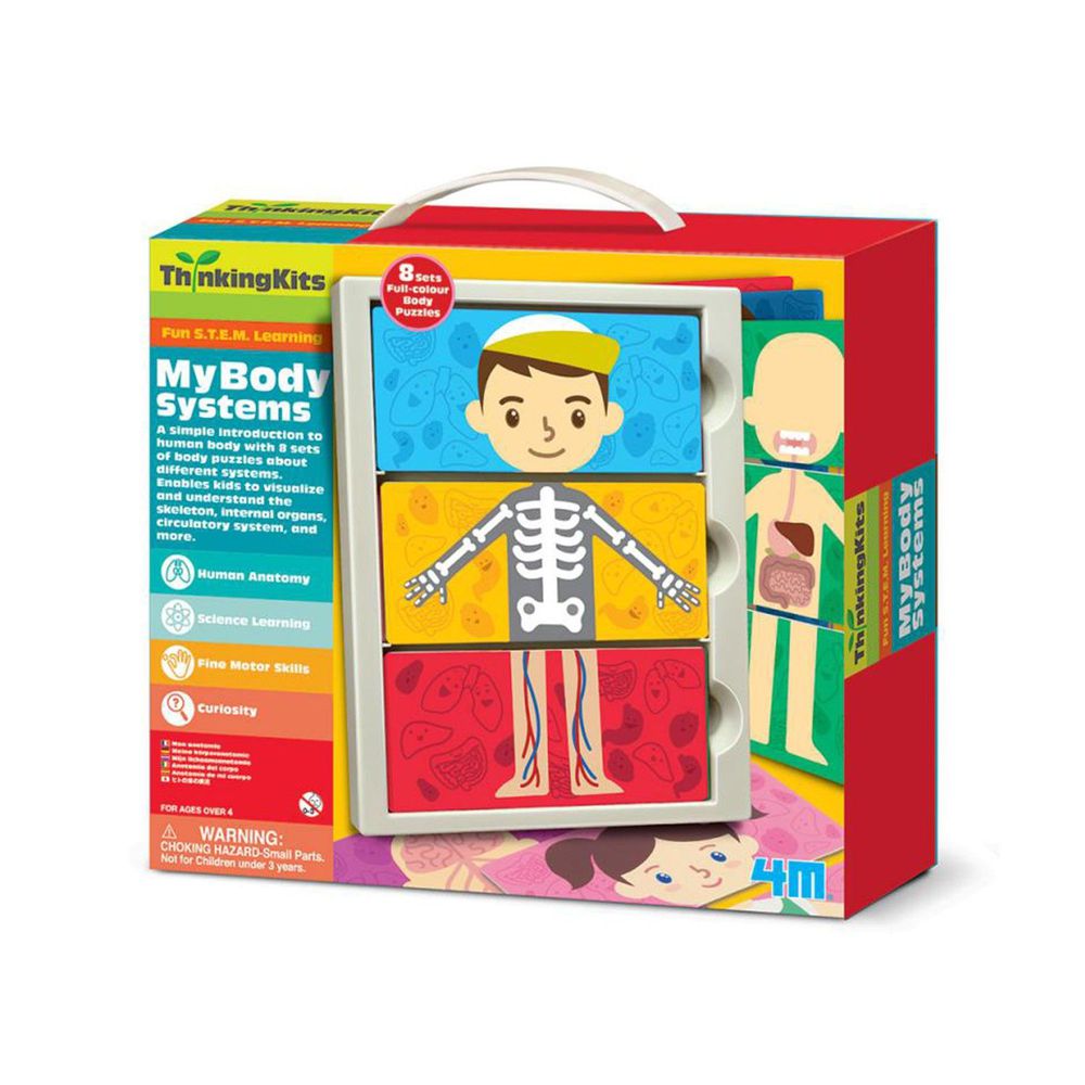 香港4M創意玩具 - 我們的身體 My Body Systems