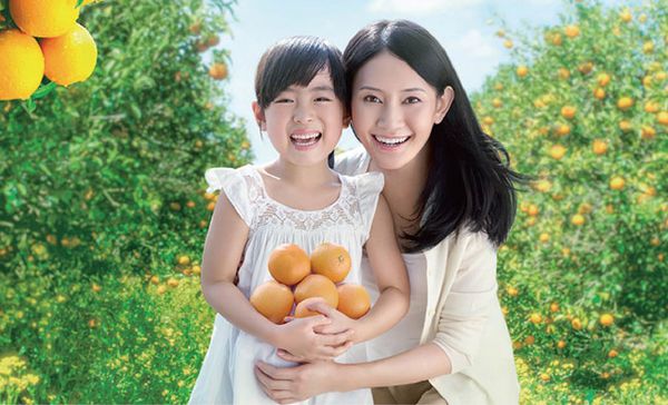 橘子工坊 - 天然濃縮洗衣精補充包-制菌力99.99%-1700ml加量版 x6包/箱