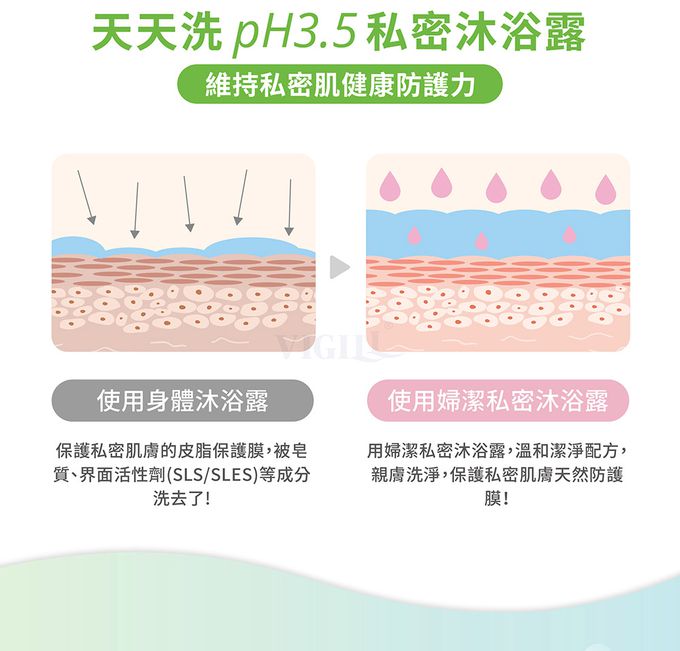 婦潔 VIGILL - 日常潔淨 私密沐浴露 (單入)-220ml