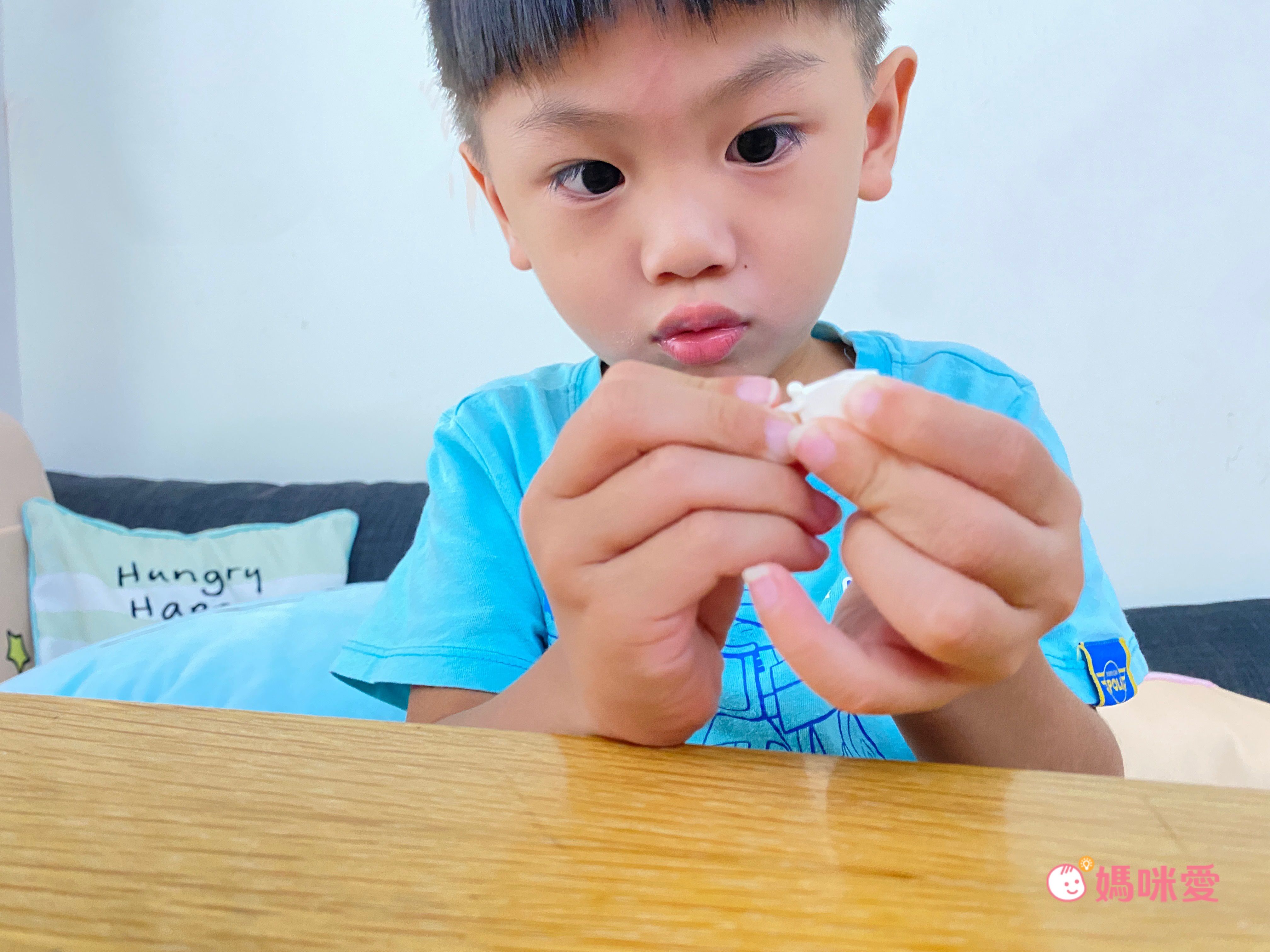 \ 號稱平價版樂高 / 侏羅紀公園系列・恐龍積木