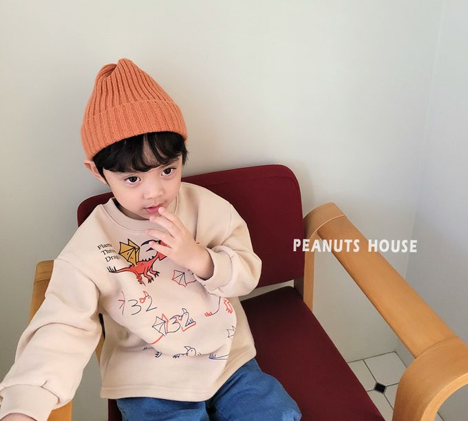 韓國 Peanuts House - (內磨毛)手繪噴火龍長袖上衣-深藍