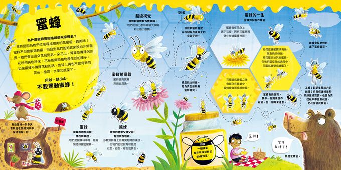 我的第一套生物知識啟蒙 你喜歡蟲蟲嗎？