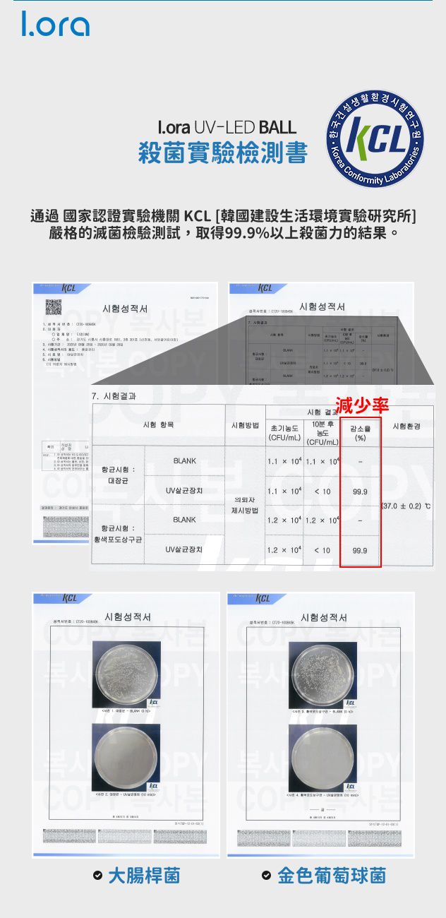 下殺59折↘︎韓國IORA 殺菌球✦外出用無死角殺菌ｘ全機防水