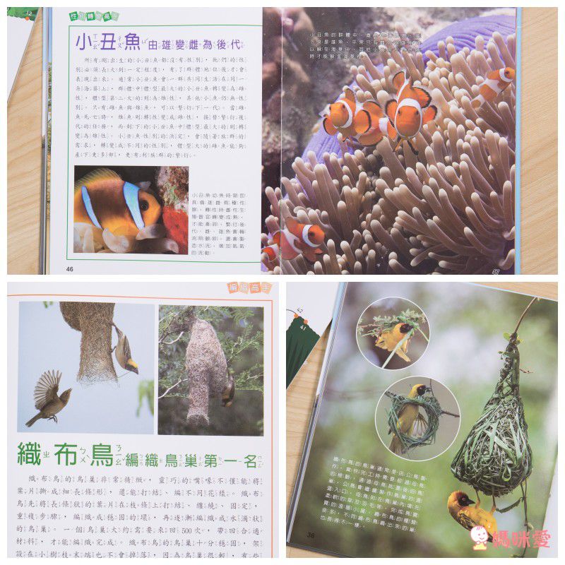 小牛頓【漫畫成語百科】語文＆科學一套搞定！看漫畫輕鬆學知識