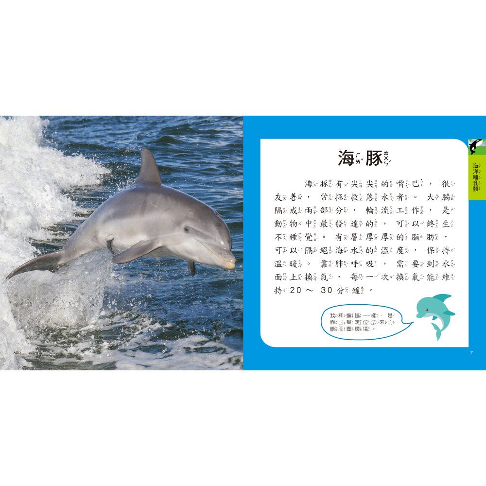 海洋圖鑑小百科