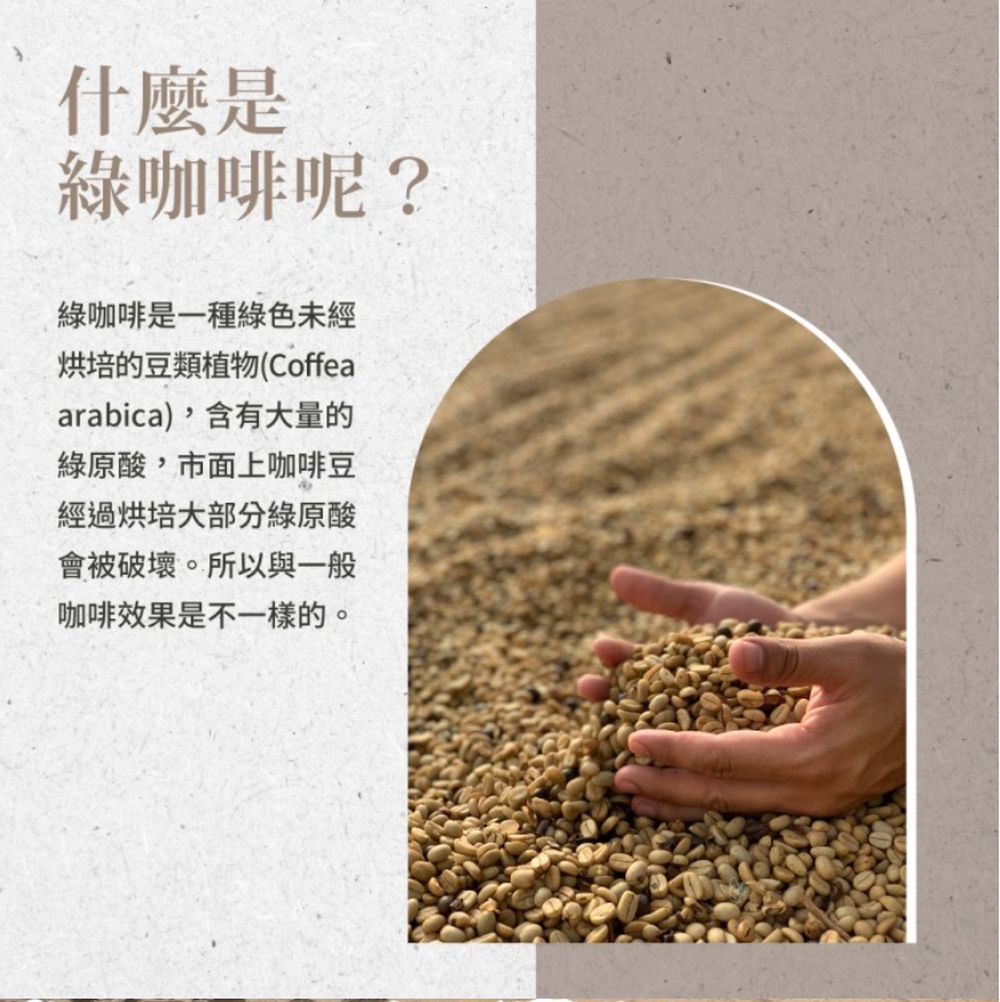 Sanct Bernhard 德國百年草本-綠咖啡膠囊 (120粒/罐)