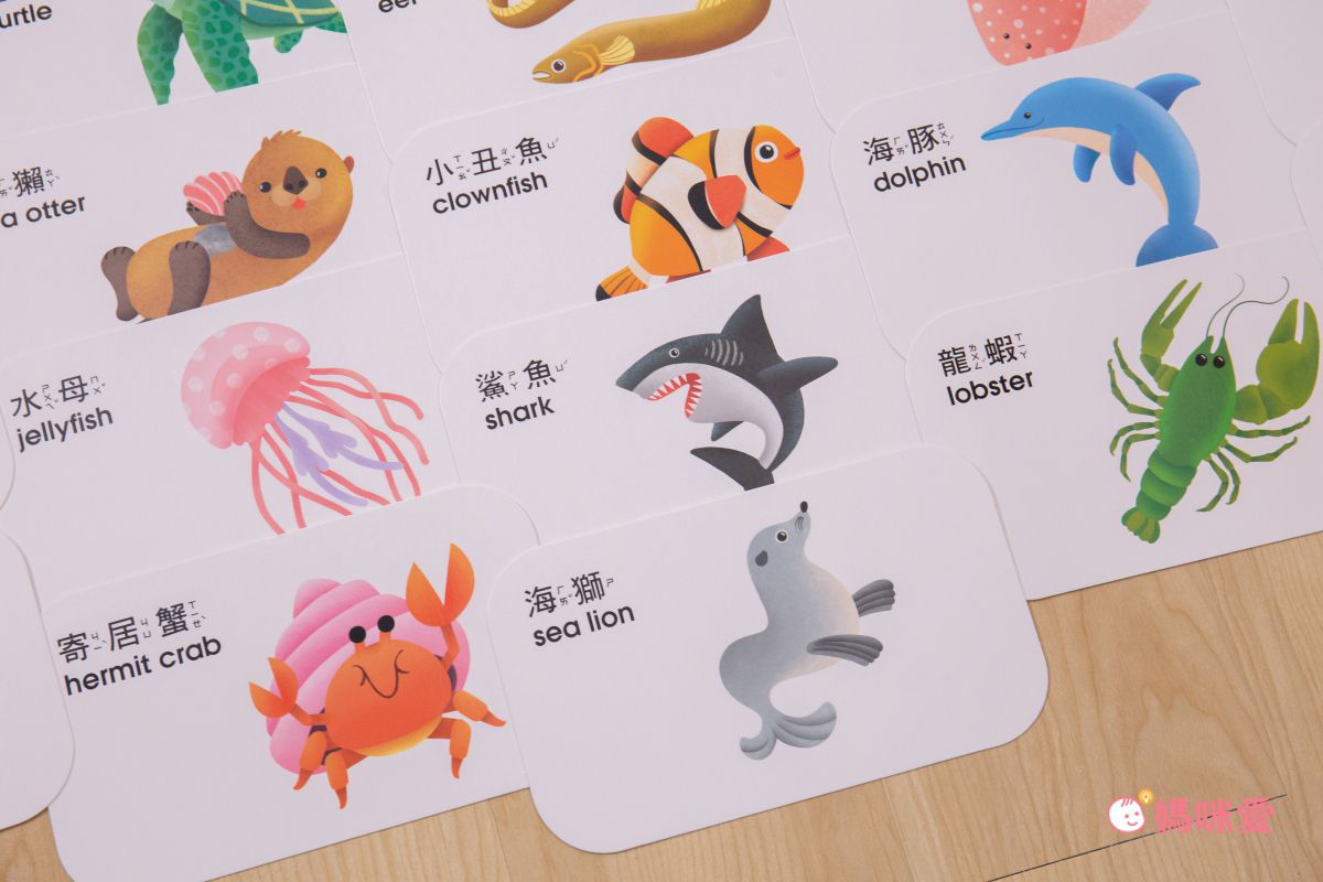 在家輕鬆玩實驗《STEAM 實驗魔法盒》，成為小小科學家好簡單！