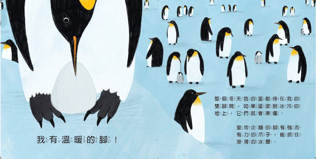 看我的無影腳