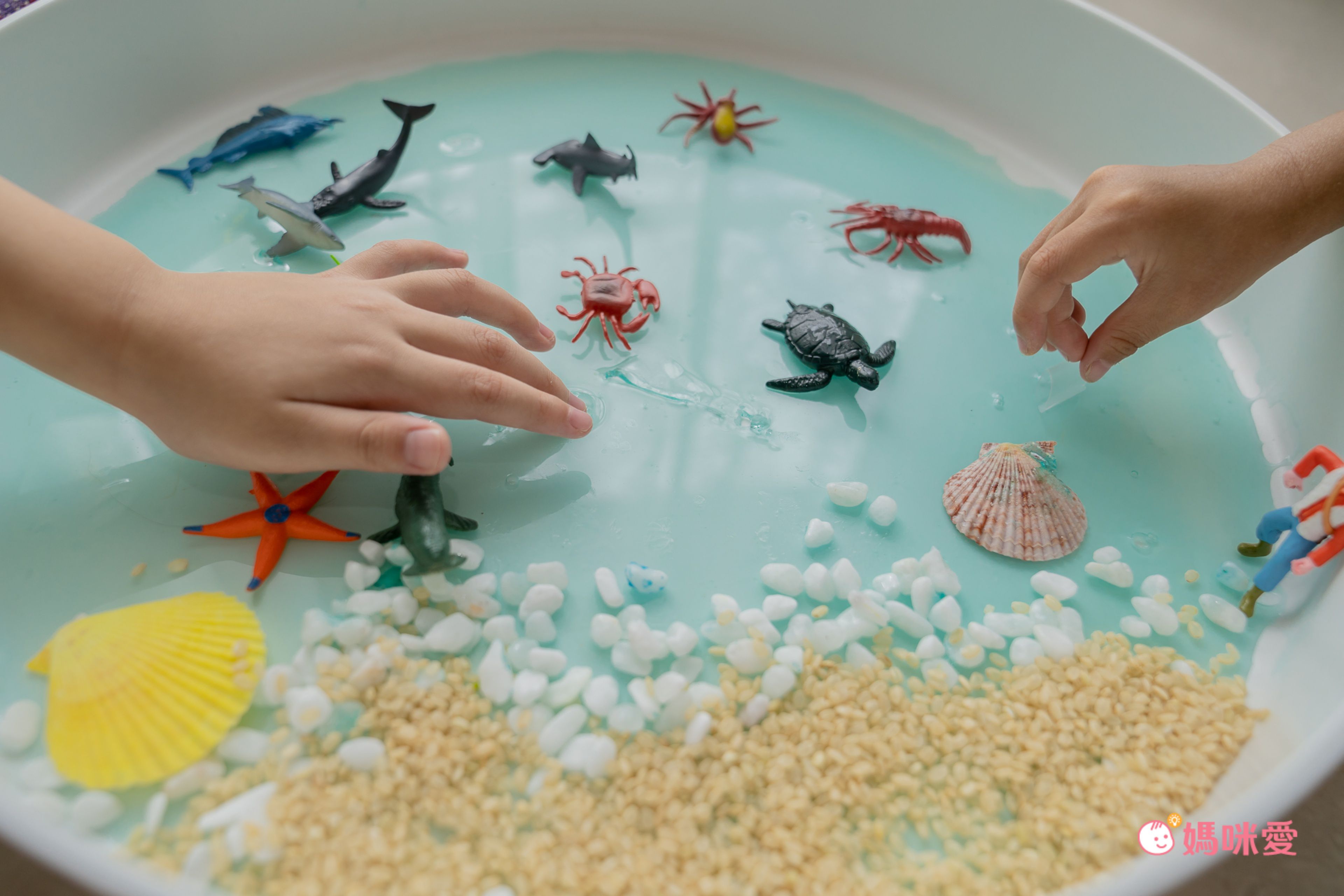 超激推5in1感官盆【韓國POKI趣玩盆】啟發創意力