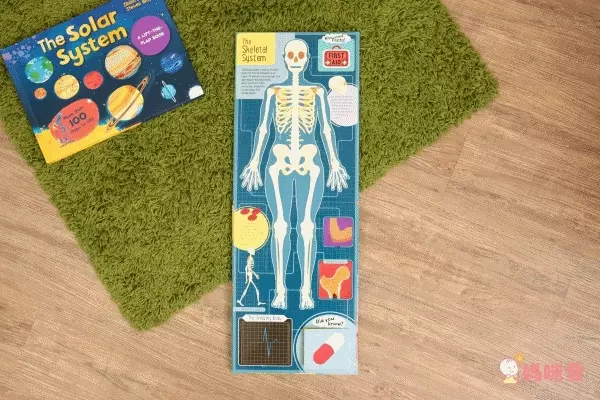 CP值爆棚★世界七大洲紙板翻翻書 A Lift the Flaps Books▶知識度200%！大人也折服！