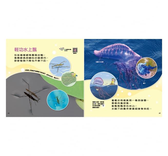 河馬卜卜愛玩水