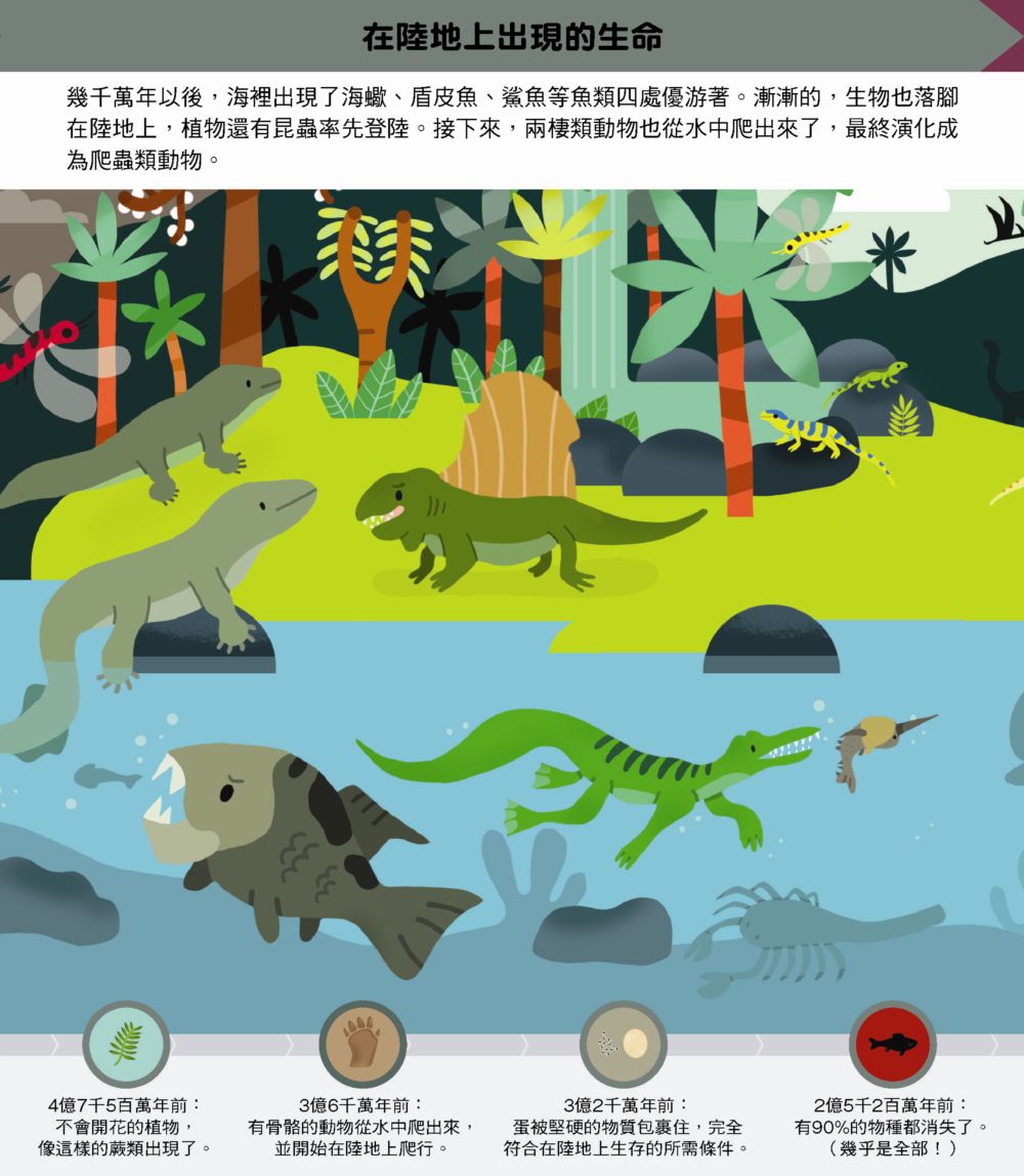 我的第一本拉頁書：生命起源