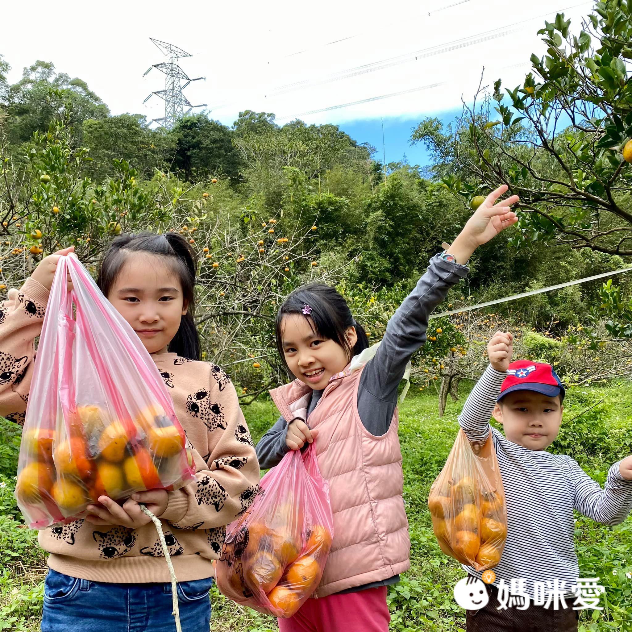 【寒假快樂出遊書單】跟著地圖認識台灣！