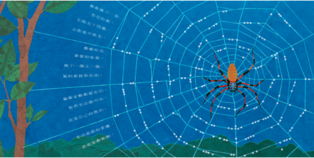 大自然的藝術家──不可思議的線條和形狀