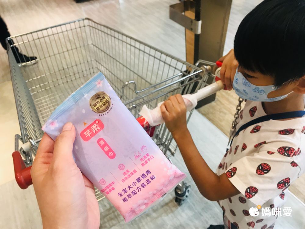 芊柔 - PLUS清除腸病毒+抗白色念珠菌濕紙巾-隨身包組-10抽*15包入