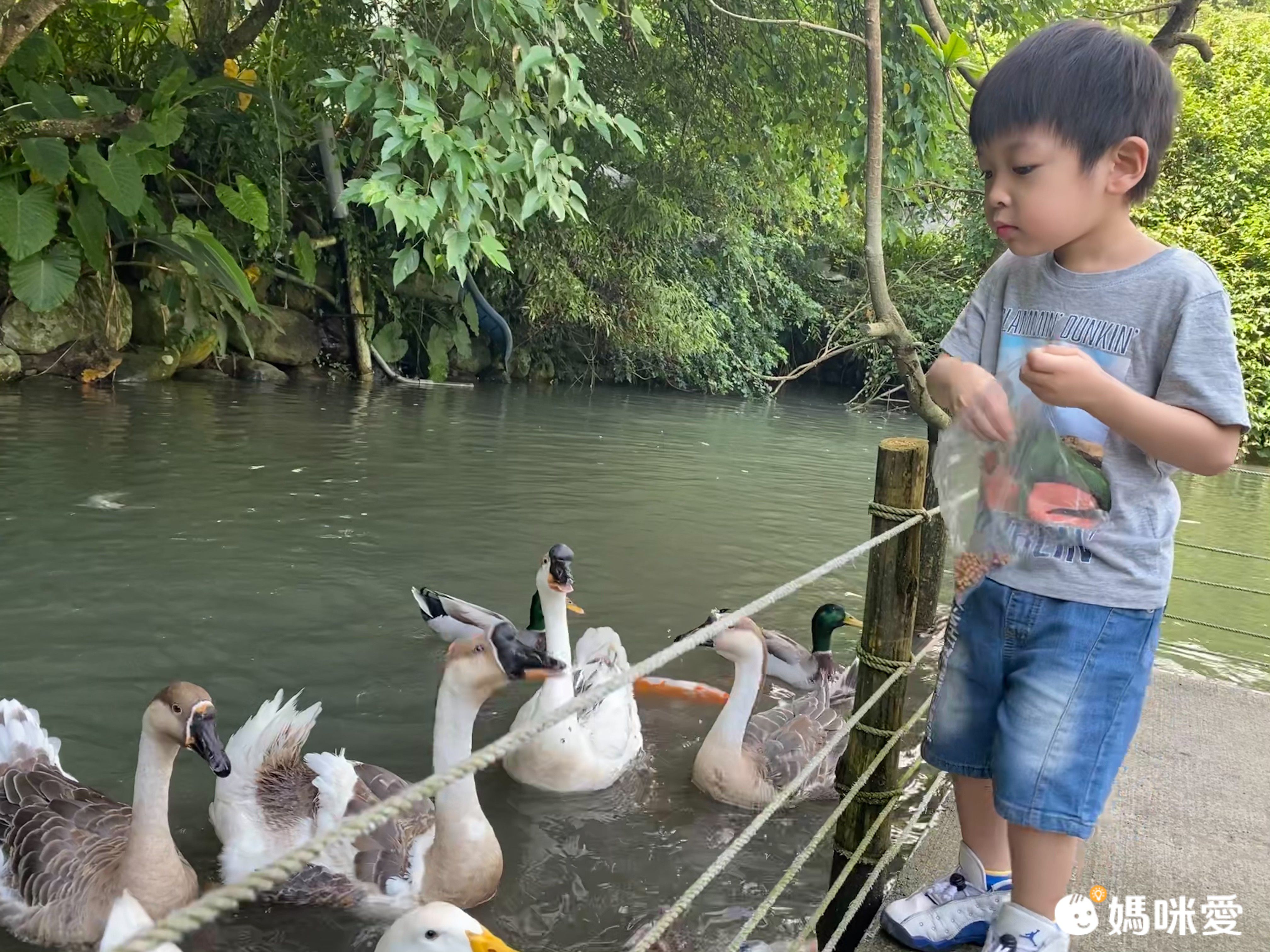 43折好評再開↘【宜蘭三富農場】親近自然樂活之旅一泊一食