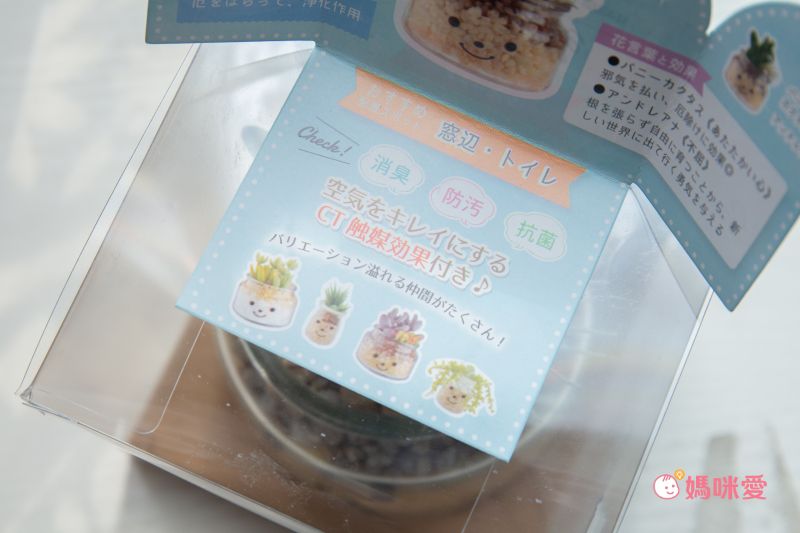 日本 KISHIMA - CT觸媒 開運消臭仿真多肉盆栽-除厄-Luke (L(φ10x12cm))