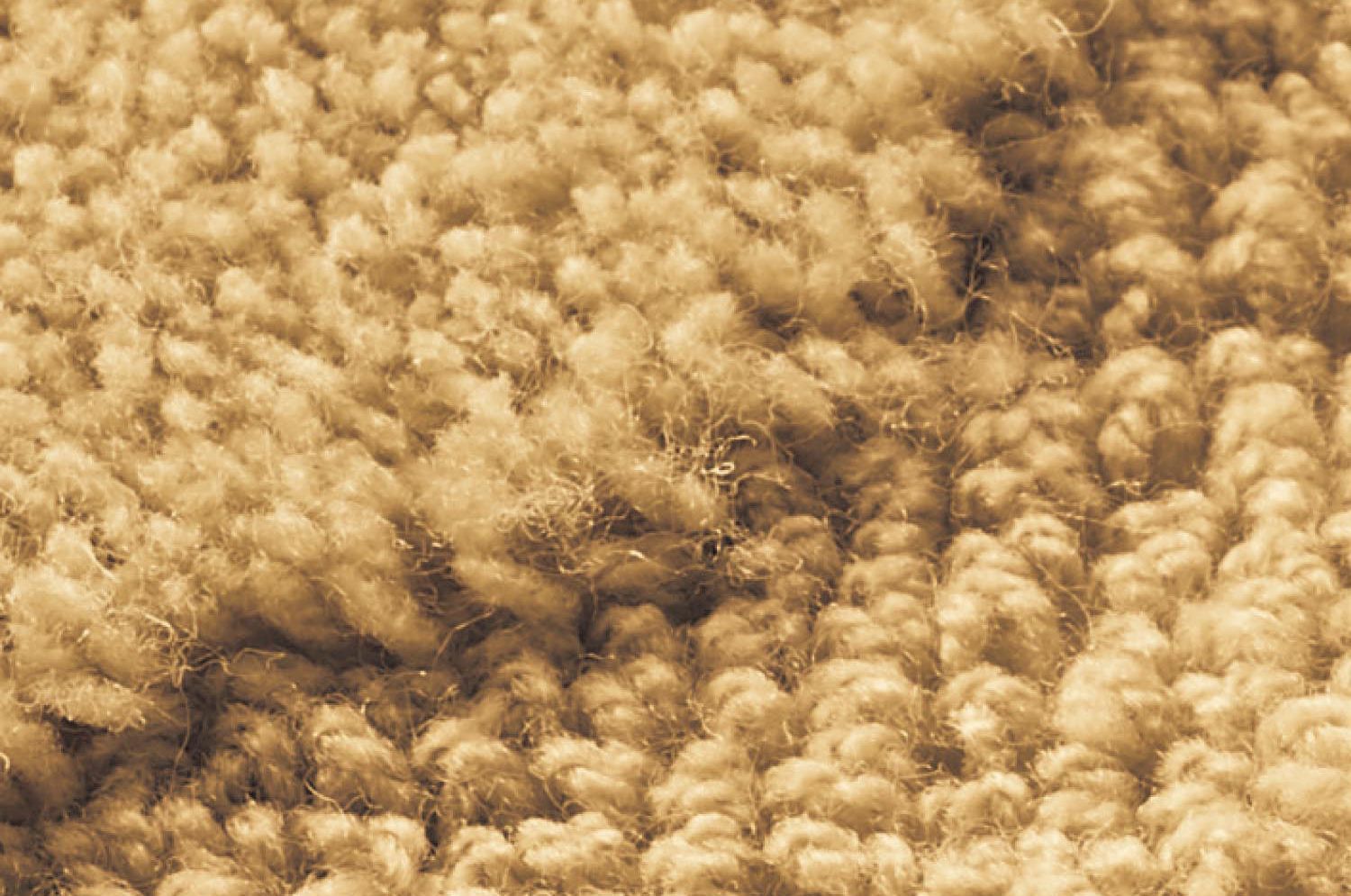 日本千趣會 - mini labo 去泥污腳踏墊-法蘭西花朵-藍綠