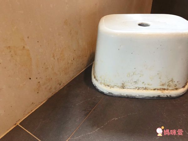 清檜 Hinoki Life - 檜木柑橘浴廁清潔劑-500ml/瓶