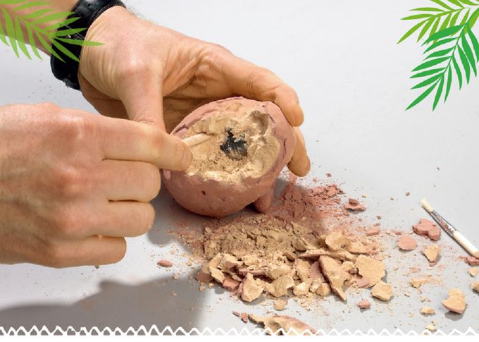 德國 Moses - 小小考古-恐龍蛋化石-6款隨機出貨