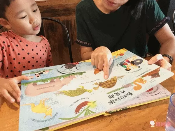 翻翻書大集合！【禾流文創 ✖ 閣林文創】