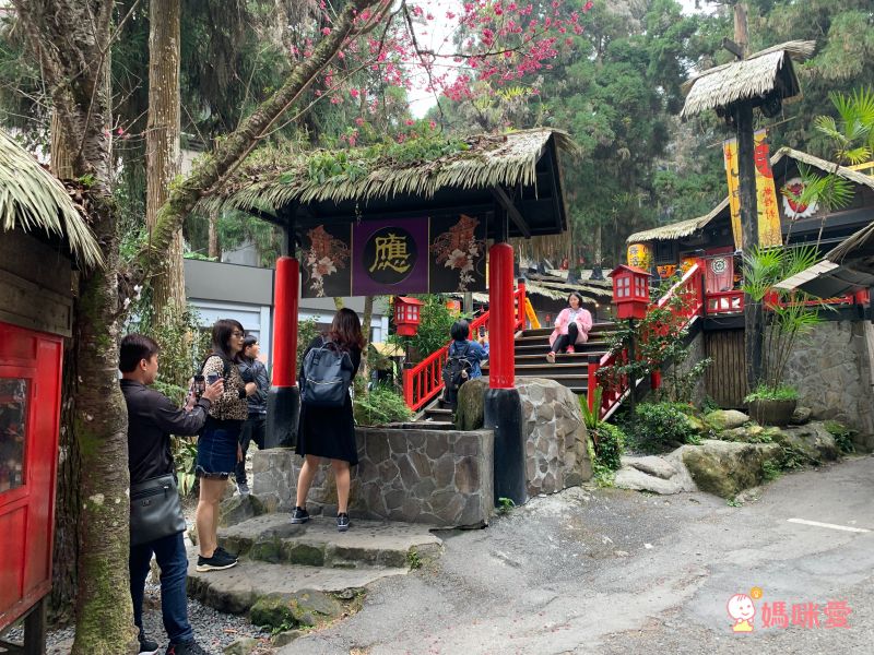 溪頭妖怪村主題飯店｜一年期履約住宿券
