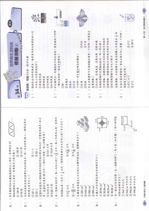 升國中新生入學測驗