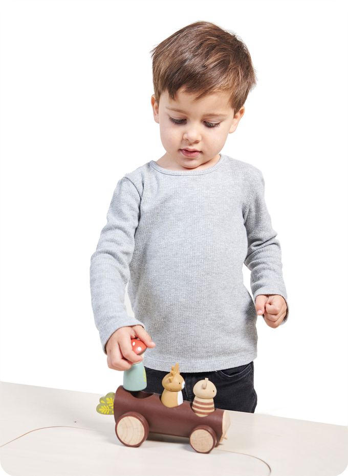 美國 Tender Leaf - 森林夥伴計程車