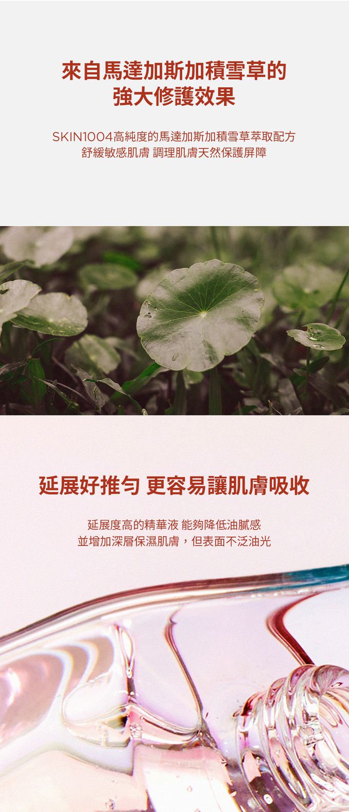 SKIN1004 - 馬達加斯加積雪草-粉鹽緊緻毛孔精華液 (單入)-100ml