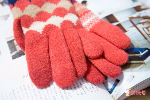 ►日本BISQUE◄ 推車 / 外出保暖～好評現貨供應！