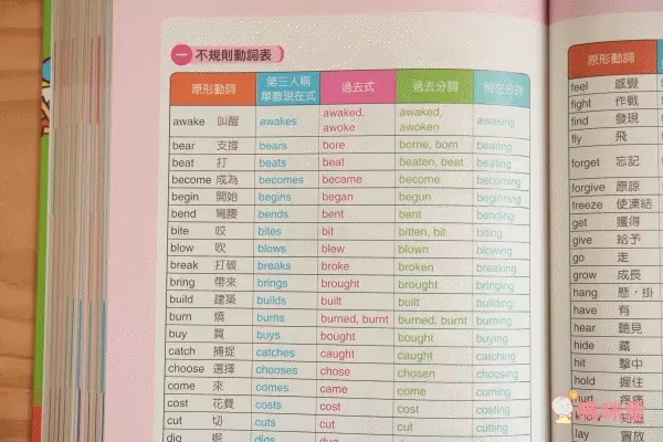 世一文化主題式圖解彩色兒童英漢點讀字典