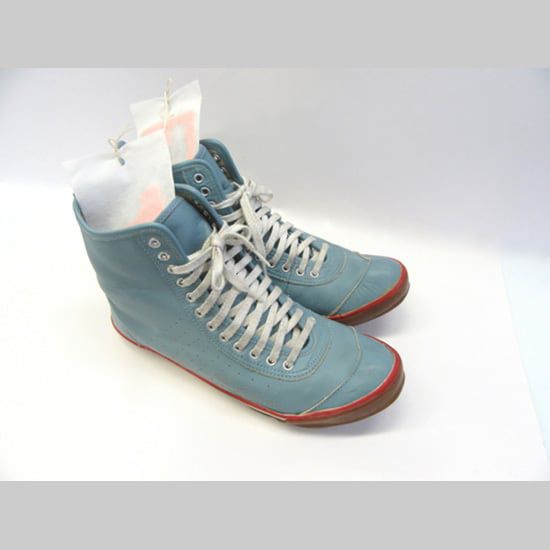 日本代購 - 日本製 神奇小鳥防霉/抗菌/除臭香氛掛片-靴子/鞋子專用-6枚入