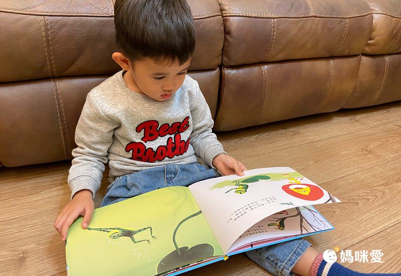 《不會游泳的獅子》學習克服內心的恐懼