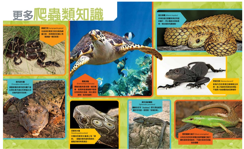 國家地理終極爬蟲百科 (精裝 /272頁 /全彩印刷)