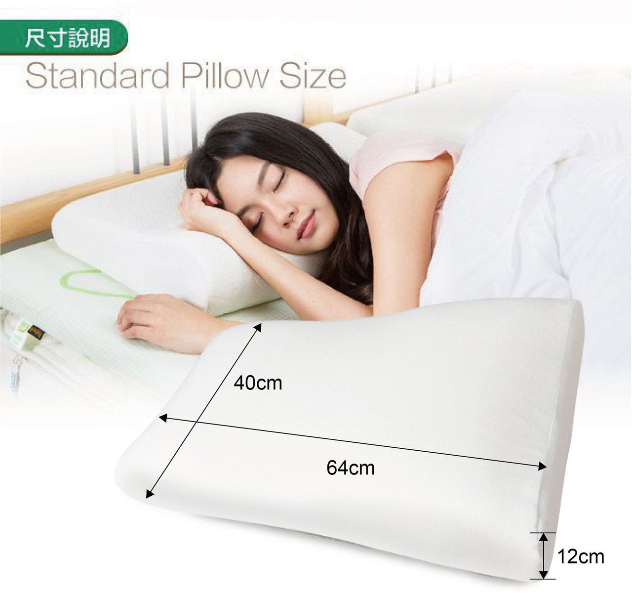 Fotex 芙特斯 - 【防蟎記憶枕】柔雲款(一對2顆)含外層物理性防螨套 釋壓枕頭 過敏患者專用 (64x40x12cm)