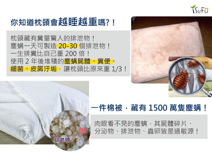 舒福家居 iSuFu - 3D Airmesh 超柔幼童透氣可水洗枕-水藍