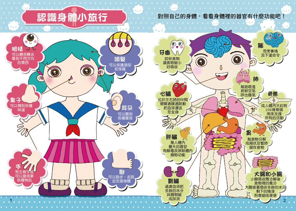 双美生活文創 - 小小模範醫生：BABY職人夢想寶盒-內附聽診器1個、配件18個、身體奧秘手冊1本