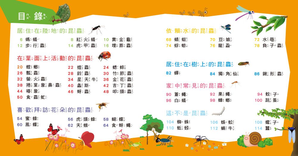 我的第一本昆蟲博士小百科NEW-內含小百科+12款昆蟲學習模型及3個配件