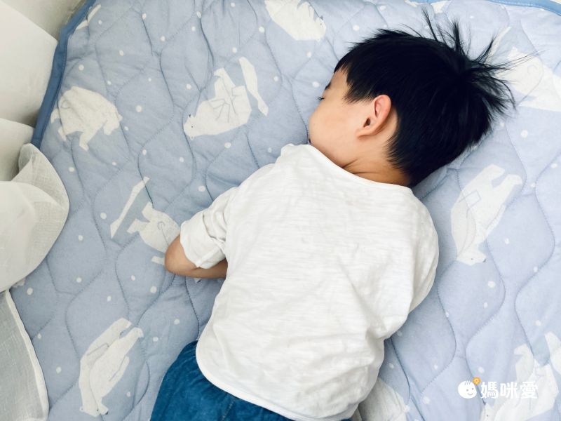 日本小泉涼感寢具❄ 最強涼感王者