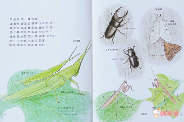 科學不思議1：昆蟲量體重