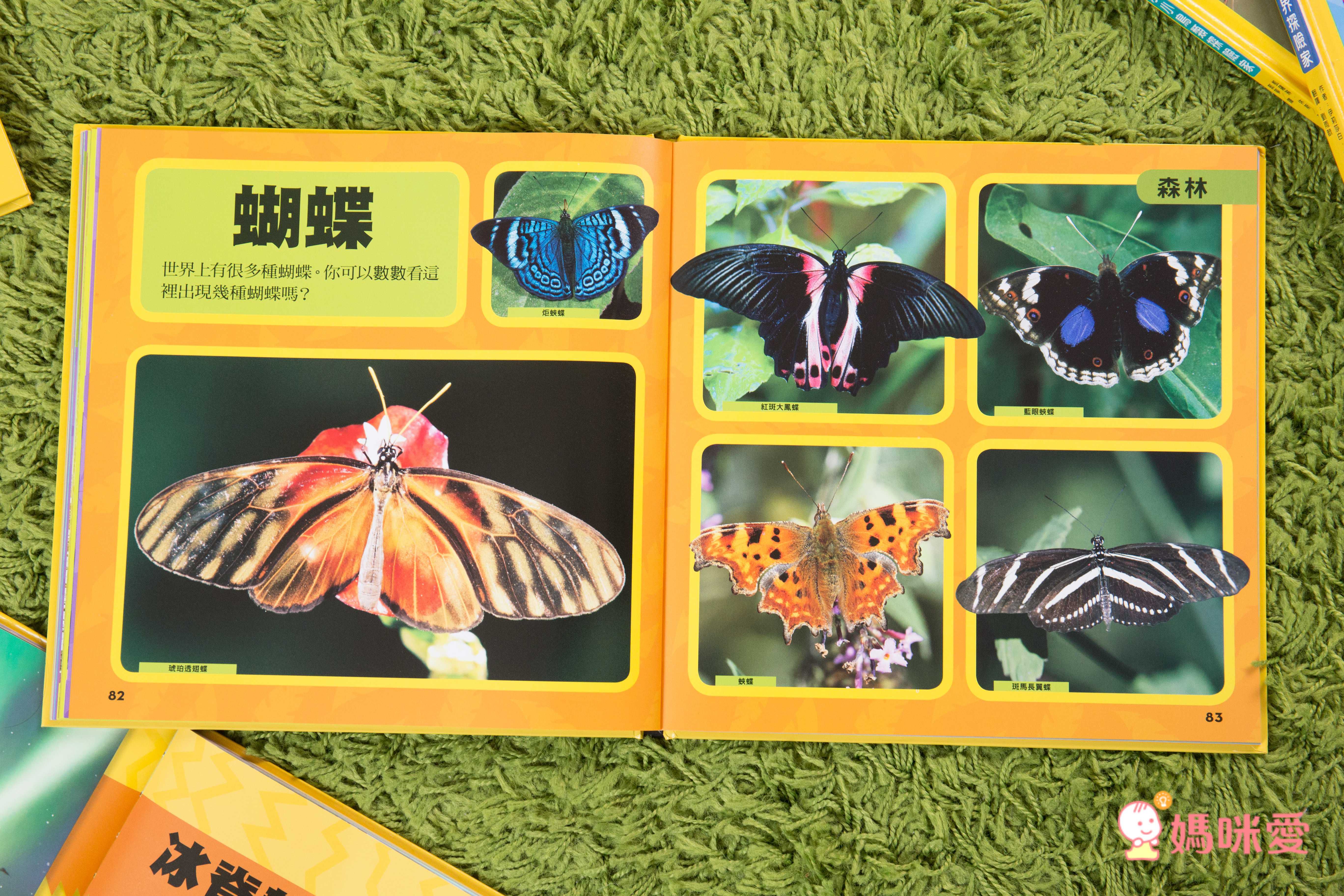 小小動物探險家 (精裝 / 128頁 / 全彩印刷)