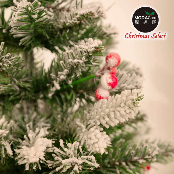 MODACore 摩達客 - 摩達客耶誕-55cm頂級霜冰藍雪國原木底座聖誕樹裸樹/不含配件/本島免運費