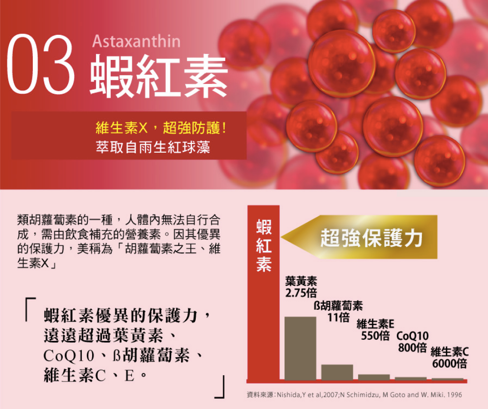 獨家限量優惠！日本益生菌第一品牌【森下仁丹】