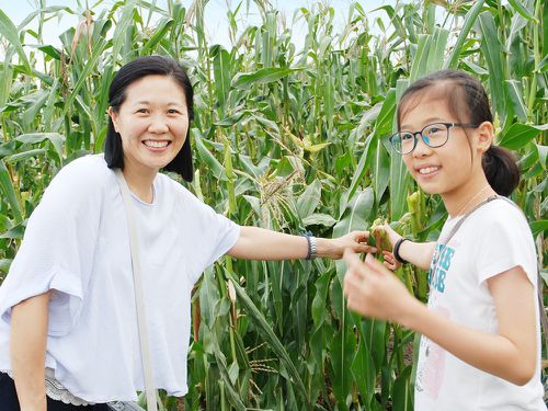 嘉義 | 豐碩果園-香瓜/番茄/玉米 (250元採果通用券(適用全台37家以上農場果園))-單人採果券