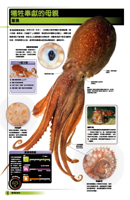 超能力鯊魚百科：驚人的海洋動物大圖解 (精裝 / 208頁 /全彩印刷)