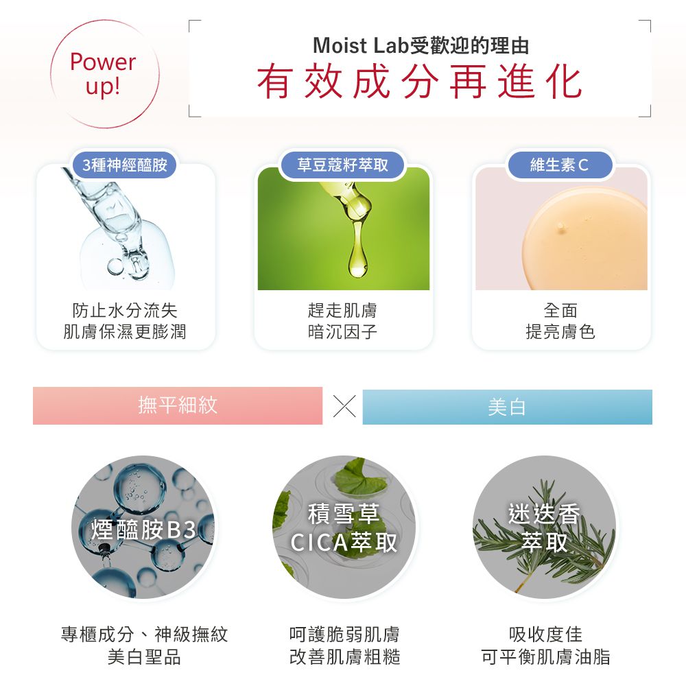 明色 Moist Labo精華BB霜 SPF50+ PA++++-03 健康-30g