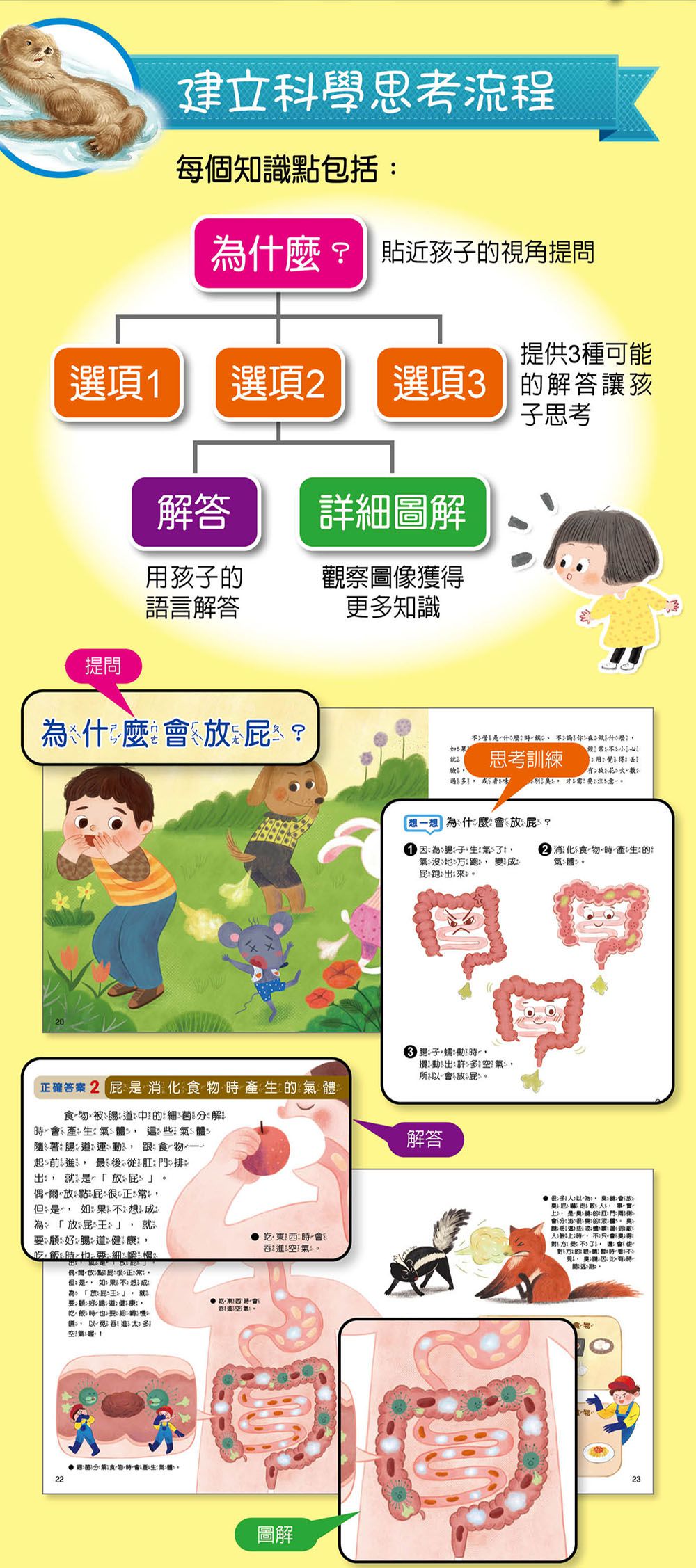 小牛頓科學教育有限公司 - WOW原來是這樣-56頁/22.6 x 24 cm/附注音-全彩-平裝