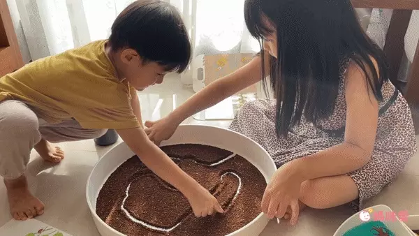 超激推5in1感官盆【韓國POKI趣玩盆】啟發創意力