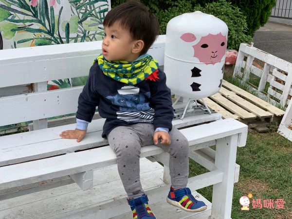 英國 redurchin 有機棉脖圍 / 帽圍 / 披肩