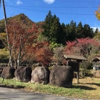 用戶頭像